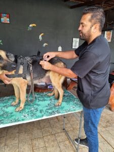 Imagem do WhatsApp de 2025-01-22 à(s) 09.05.24_ad418ee4