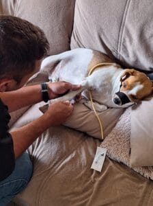 Imagem do WhatsApp de 2025-01-22 à(s) 09.09.20_d4125ae8